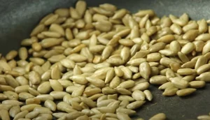 tostar semillas de girasol, semillas en sartén